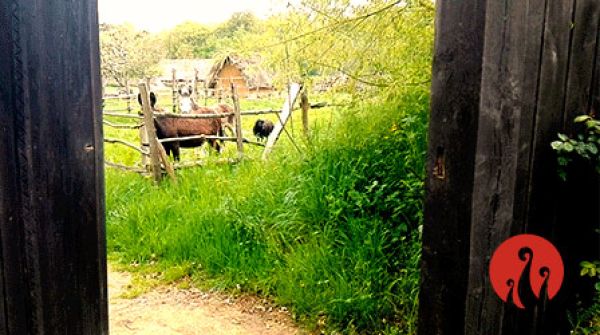 Ouverture porte du parc